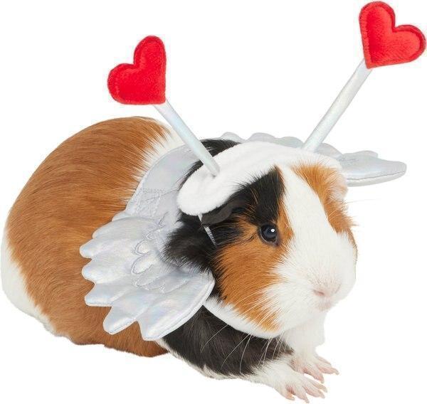Frisco Guinea Pig Cupid Costume, One Size -New in Box